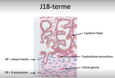 Capture d’écran 2022-02-03 à 17.34.01.png