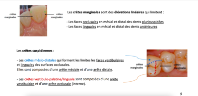 Capture d’écran 2022-02-04 à 17.14.06.png