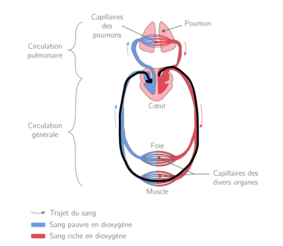 Capture d’écran 2022-02-06 à 12.17.04.png