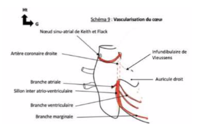 Capture d’écran 2022-02-06 à 12.25.23.png