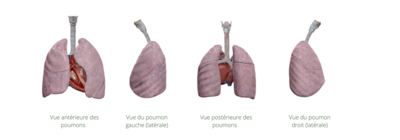 Capture d’écran 2022-02-06 à 12.28.14.png