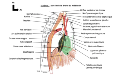 Capture d’écran 2022-02-06 à 12.33.31.png