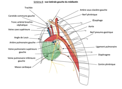 Capture d’écran 2022-02-06 à 12.34.00.png