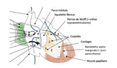 Capture d’écran 2022-02-06 à 13.22.51.png