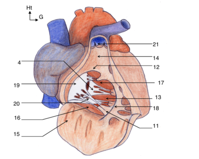 Capture d’écran 2022-02-06 à 13.23.46.png