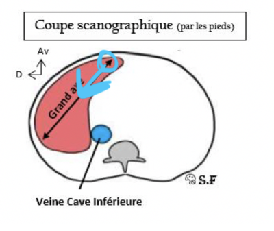 Capture d’écran 2022-02-06 à 20.20.01.png