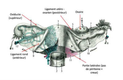 Capture d’écran 2022-02-06 à 22.19.38.png