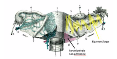 Capture d’écran 2022-02-06 à 22.19.42.png