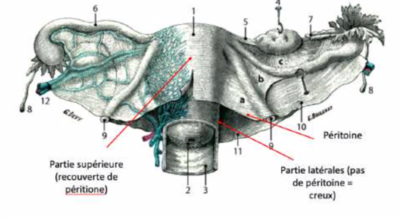 Capture d’écran 2022-02-06 à 22.19.51.png