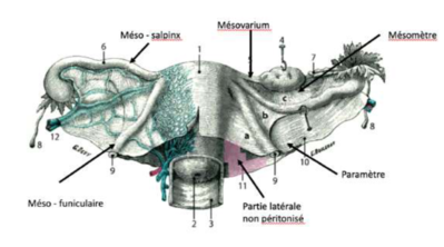 Capture d’écran 2022-02-06 à 22.20.21.png