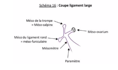 Capture d’écran 2022-02-06 à 22.20.29.png