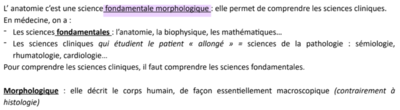 Science fondamentale morphologique.png