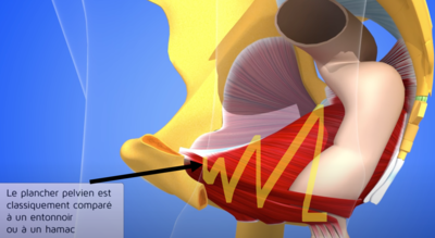 Capture d’écran 2022-02-07 à 21.14.55.png