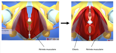 Capture d’écran 2022-02-07 à 21.15.14.png
