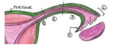Capture d’écran 2022-02-07 à 21.42.21.png