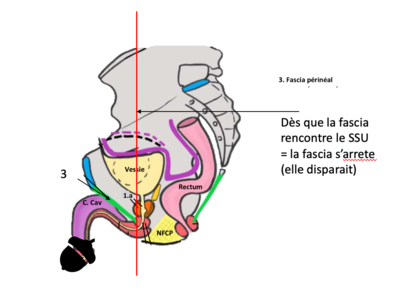 Capture d’écran 2022-02-11 à 16.45.12.png