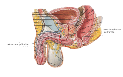 Capture d’écran 2022-02-11 à 16.47.48.png