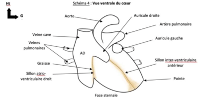 Capture d’écran 2022-02-11 à 17.45.21.png