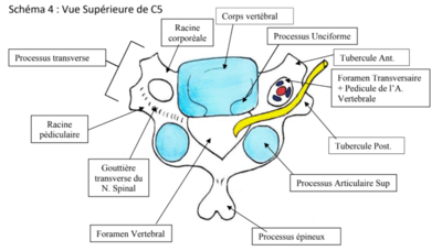 Processus arti vue supp.png