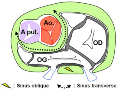 Capture d’écran 2022-02-13 à 11.22.24.png