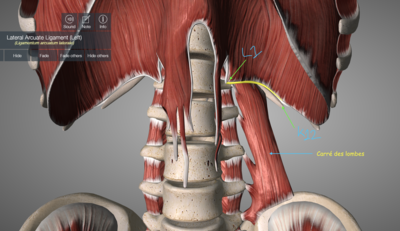 Capture d’écran 2022-02-13 à 13.03.35.png