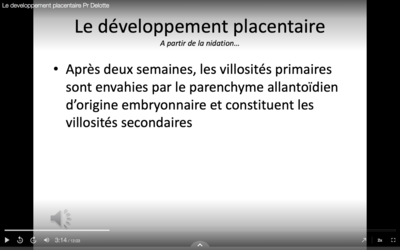 Capture d’écran 2022-02-12 à 23.26.50.png