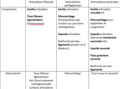 Tableau récap articulations.png