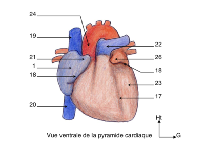 Capture d’écran 2022-02-17 à 13.39.45.png