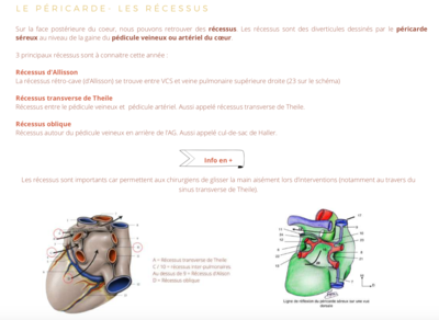 Capture d’écran 2022-02-17 à 14.09.53.png