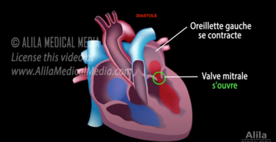 Capture d’écran 2022-02-17 à 15.57.51.png