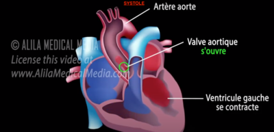 Capture d’écran 2022-02-17 à 15.59.07.png