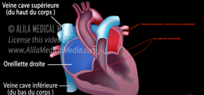 Capture d’écran 2022-02-17 à 15.49.12.png