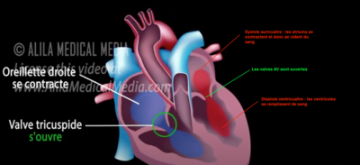 Capture d’écran 2022-02-17 à 15.52.05.png