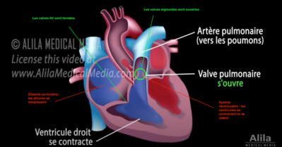 Capture d’écran 2022-02-17 à 15.54.51.png