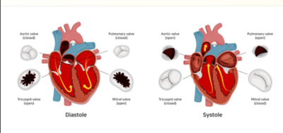 Capture d’écran 2022-02-17 à 16.39.15.png