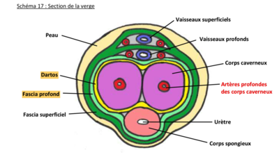 Capture d’écran 2022-02-18 à 10.52.49.png