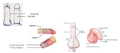Capture d’écran 2022-02-19 à 12.54.40.png