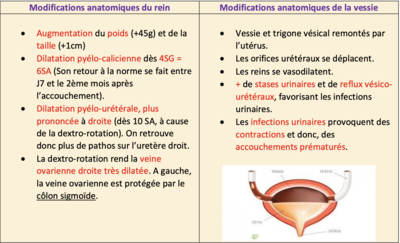Je suis goatesque.png