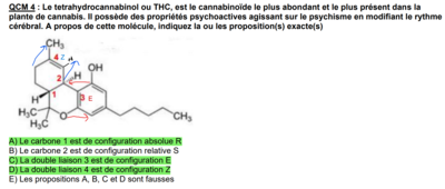 QCM 4 - items C et D inversion sujet.png