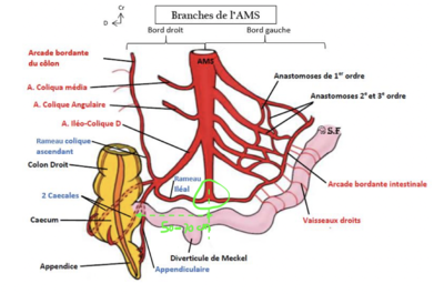 Capture d’écran 2022-02-24 à 09.21.12.png
