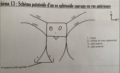 Capture d’écran 2022-02-24 à 11.54.48.png