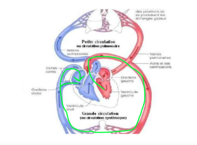 Capture d’écran 2022-02-24 à 12.40.55.png