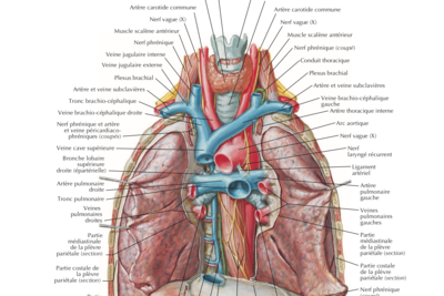 Capture d’écran 2022-02-19 à 21.23.24.png