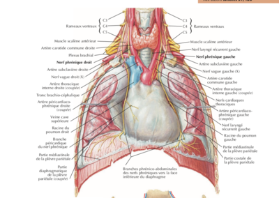Capture d’écran 2022-02-24 à 18.50.05.png