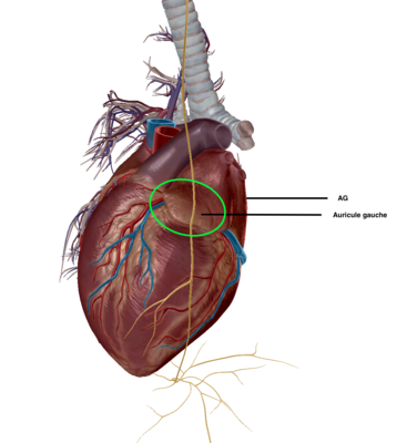 Capture d’écran 2022-02-24 à 18.42.31.png