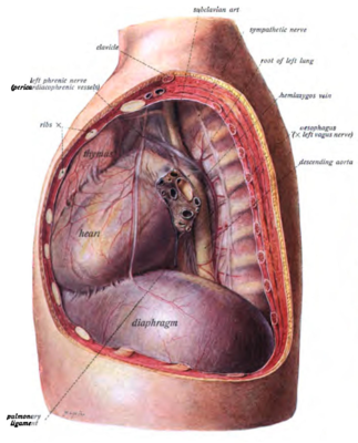 Capture d’écran 2022-02-24 à 18.42.16.png
