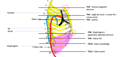 Capture d’écran 2022-02-25 à 10.27.59.png