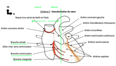Capture d’écran 2022-02-25 à 13.41.10.png