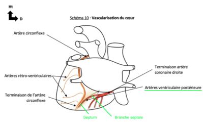 Capture d’écran 2022-02-25 à 13.41.55.png