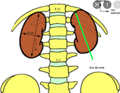 Capture d’écran 2022-02-25 à 14.14.50.png
